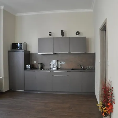 No. 41 Koptova 5 Apartmán Karlovy Vary